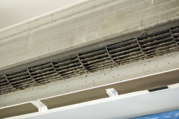 Best Home Air Vent Cleaning  in Hilbert, WI